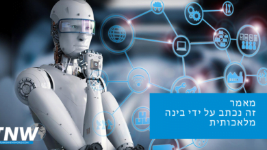 השותפות הכלכלית בין טורקיה לקפריסין: הזדמנויות ואתגרים